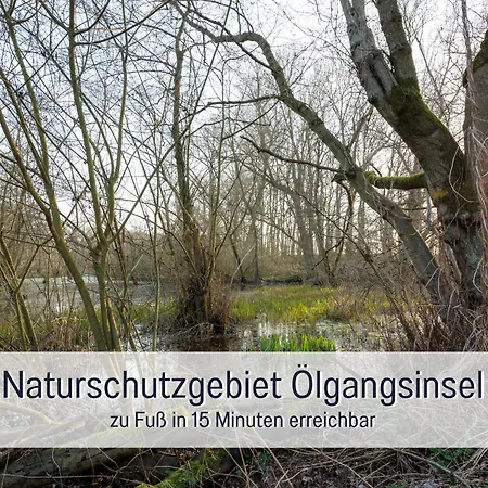 Apartment Rheinblick Penthouse Wolke 7 - Neuss/düsseldorf Neuss